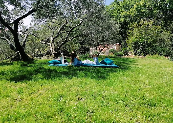 Guesthouse Oliva