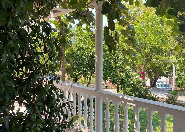 Guesthouse Oliva