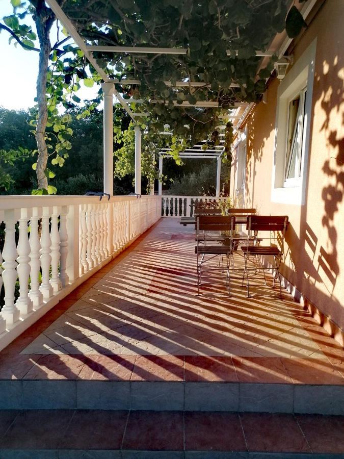 Apartma Oliva Cavtat