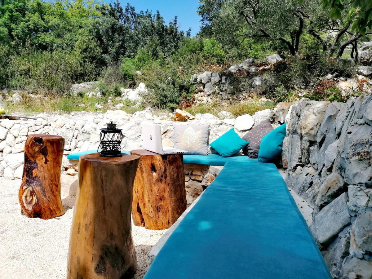 Apartma Oliva *