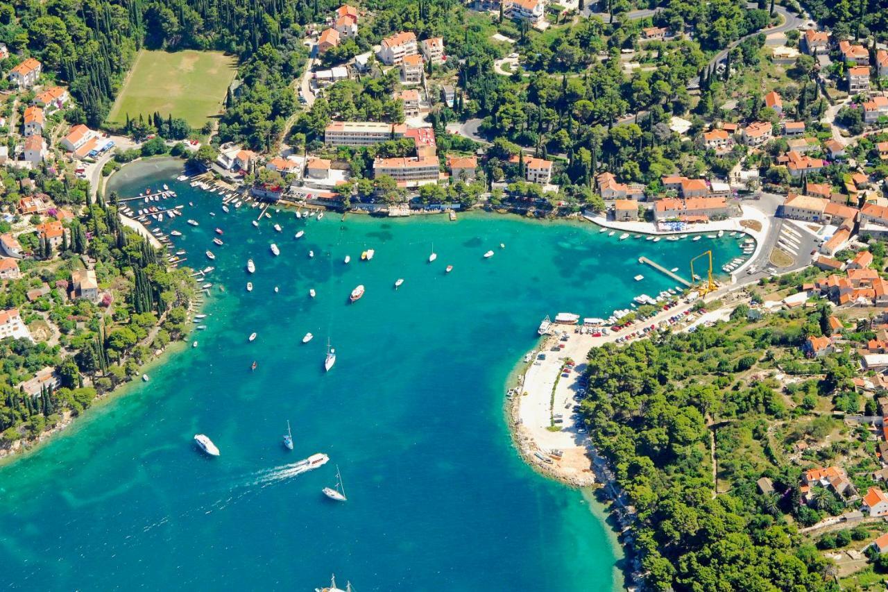 Apartma Oliva *
